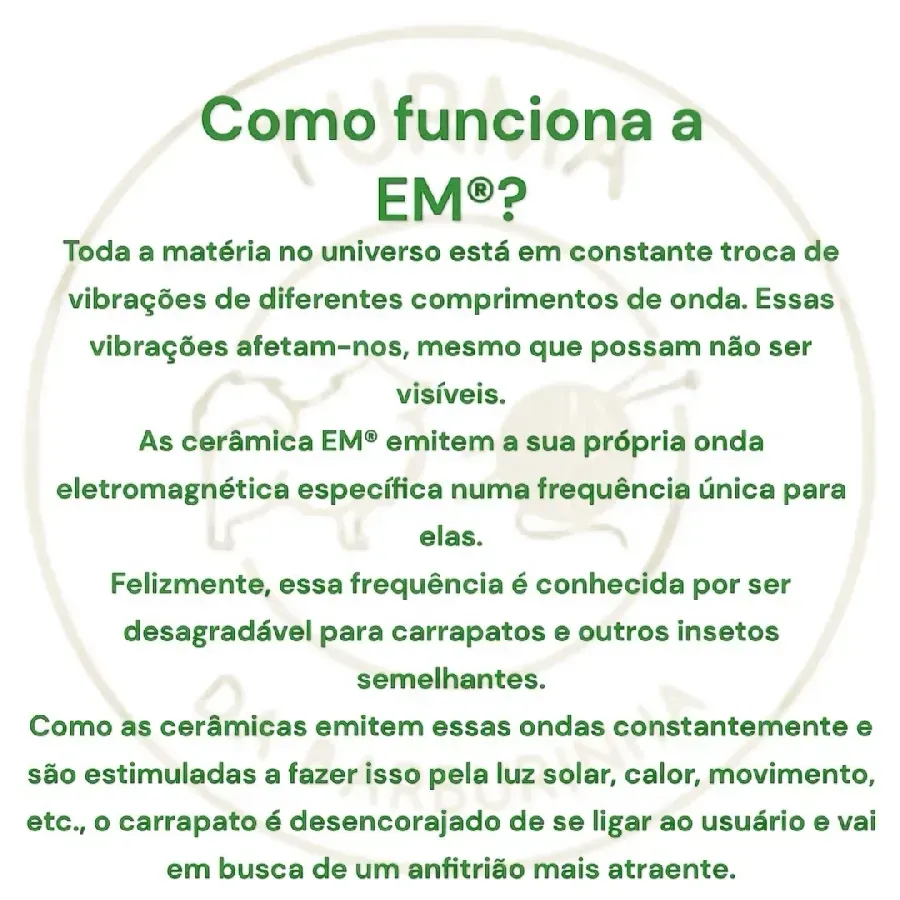 Entremeio Entremeio