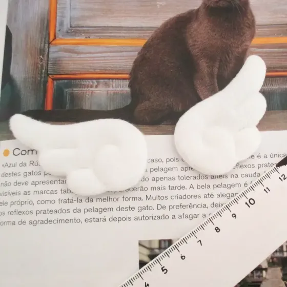 Aplicação Asas para Boneco...