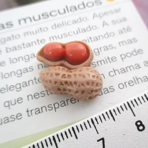 Miniatura Amendoim - EB990