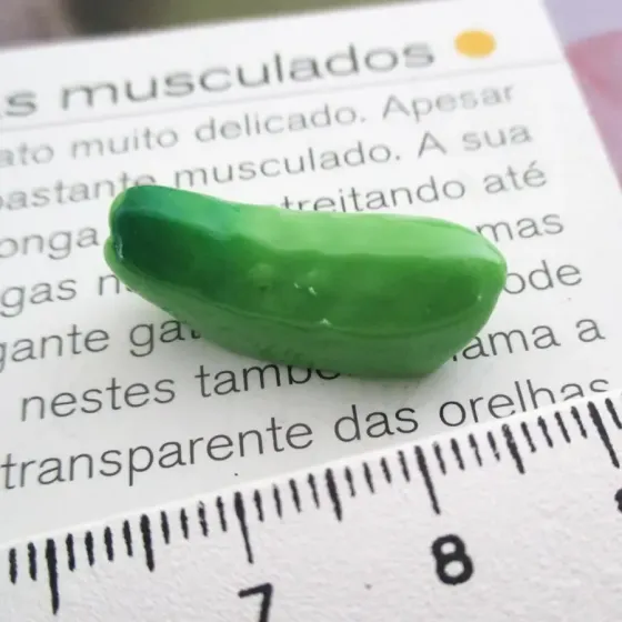 Miniatura Pepino - EB994