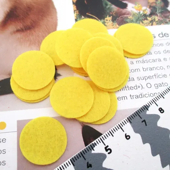 Conjunto 40 Rodelas Feltro...