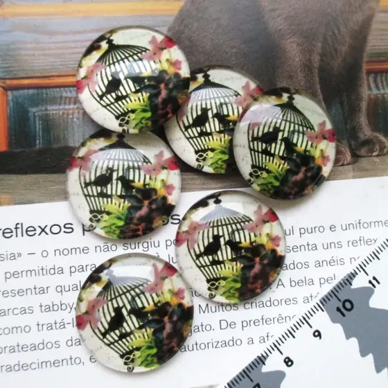 Lote 6 Cabochons 30mm - EC249