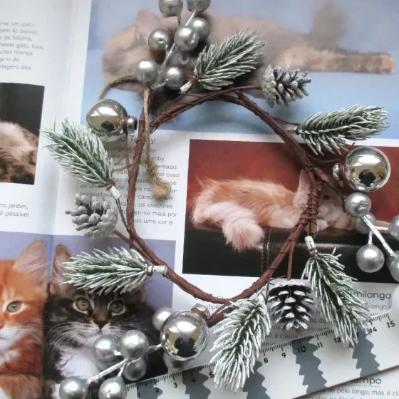 Coroa Prateada - EG292