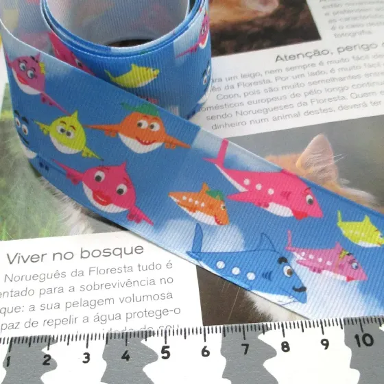 Fita Gorgurão 38mm - EG637