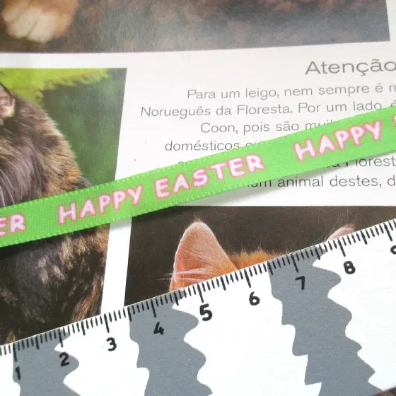 Fita Cetim 10mm - EG644