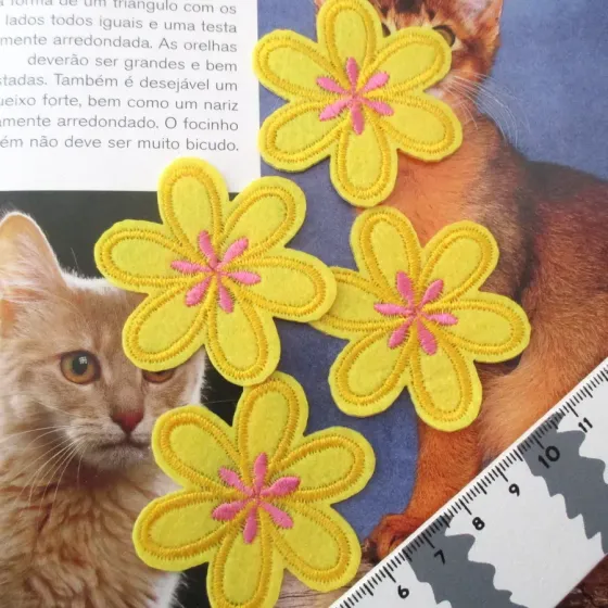 Conjunto 4 Aplicações...