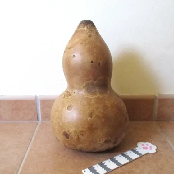 Cabaça 29cm - EC898