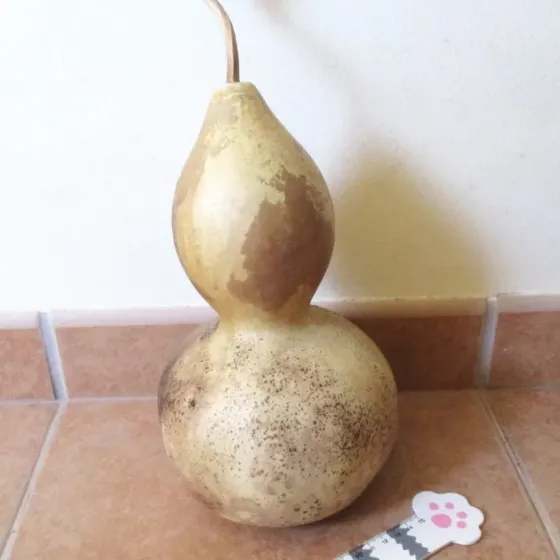Cabaça 26cm - EC899