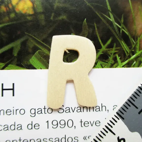 Letra R - MDF