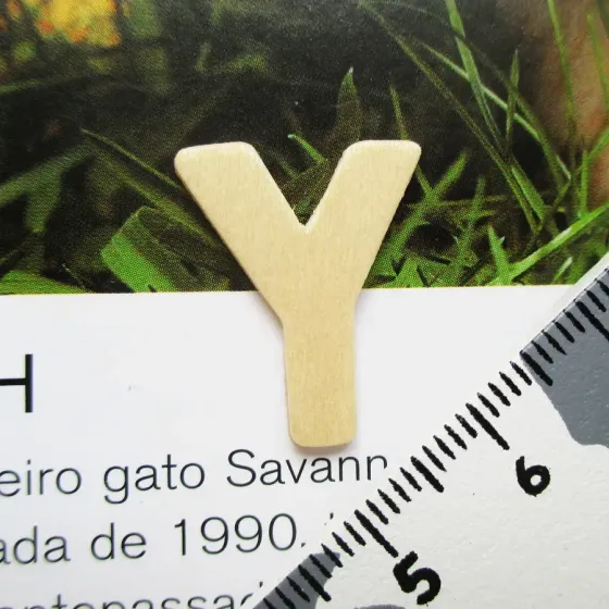 Letra Y - MDF