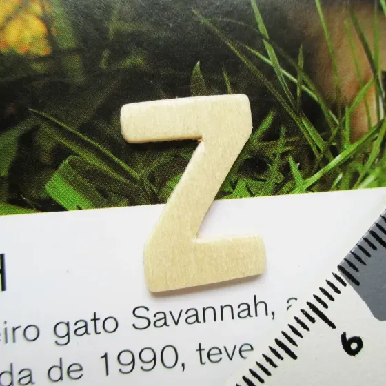 Letra Z - MDF