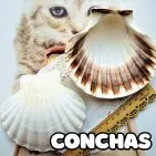 Conchas