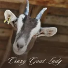 Crazy Goat Lady