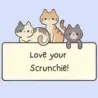 Love your Srunchie